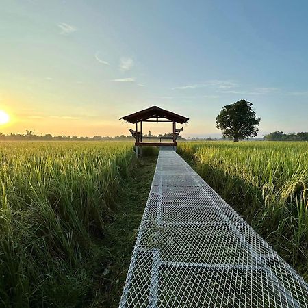 Phanumas Resort 치앙마이 외부 사진