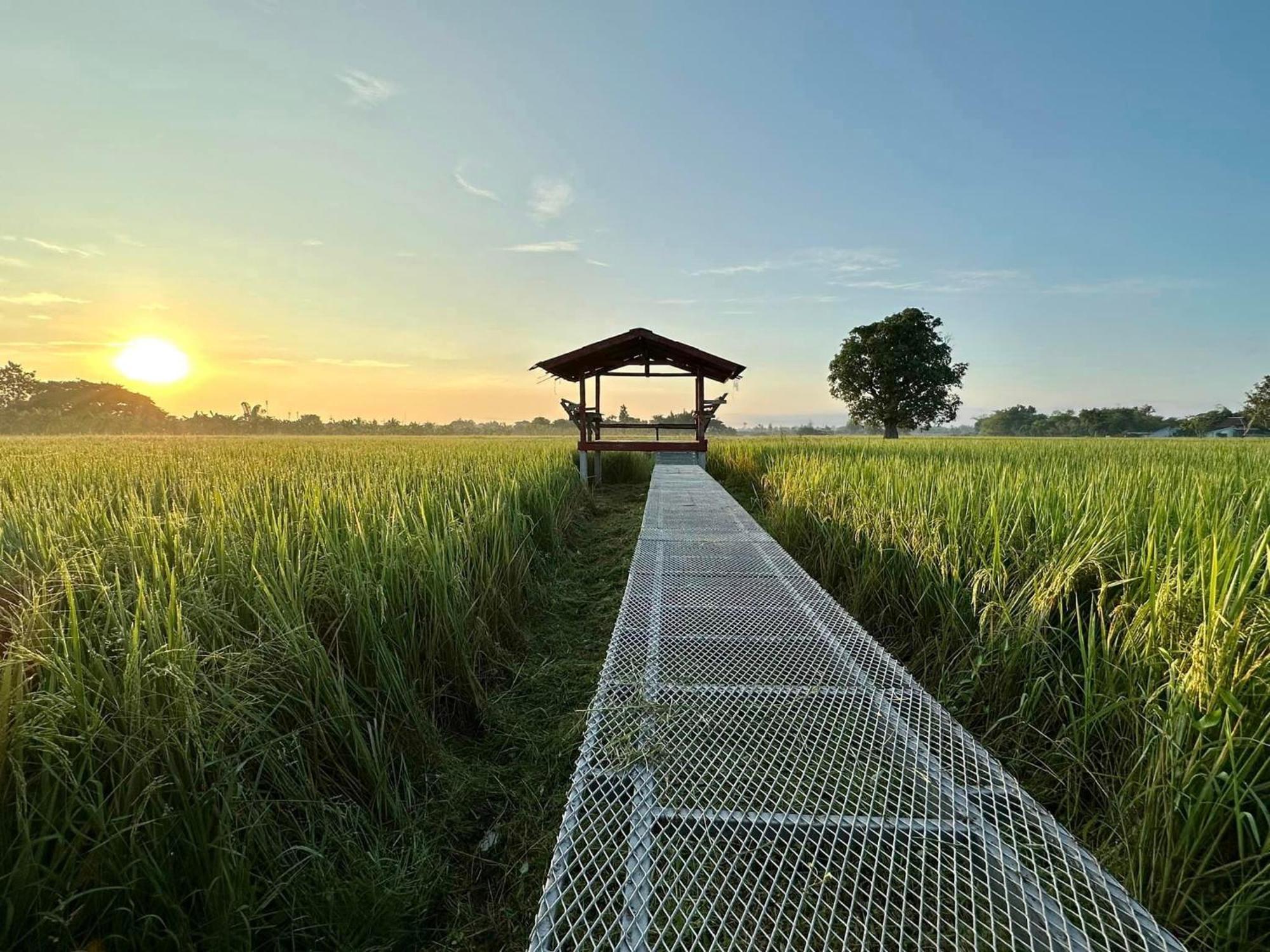 Phanumas Resort 치앙마이 외부 사진